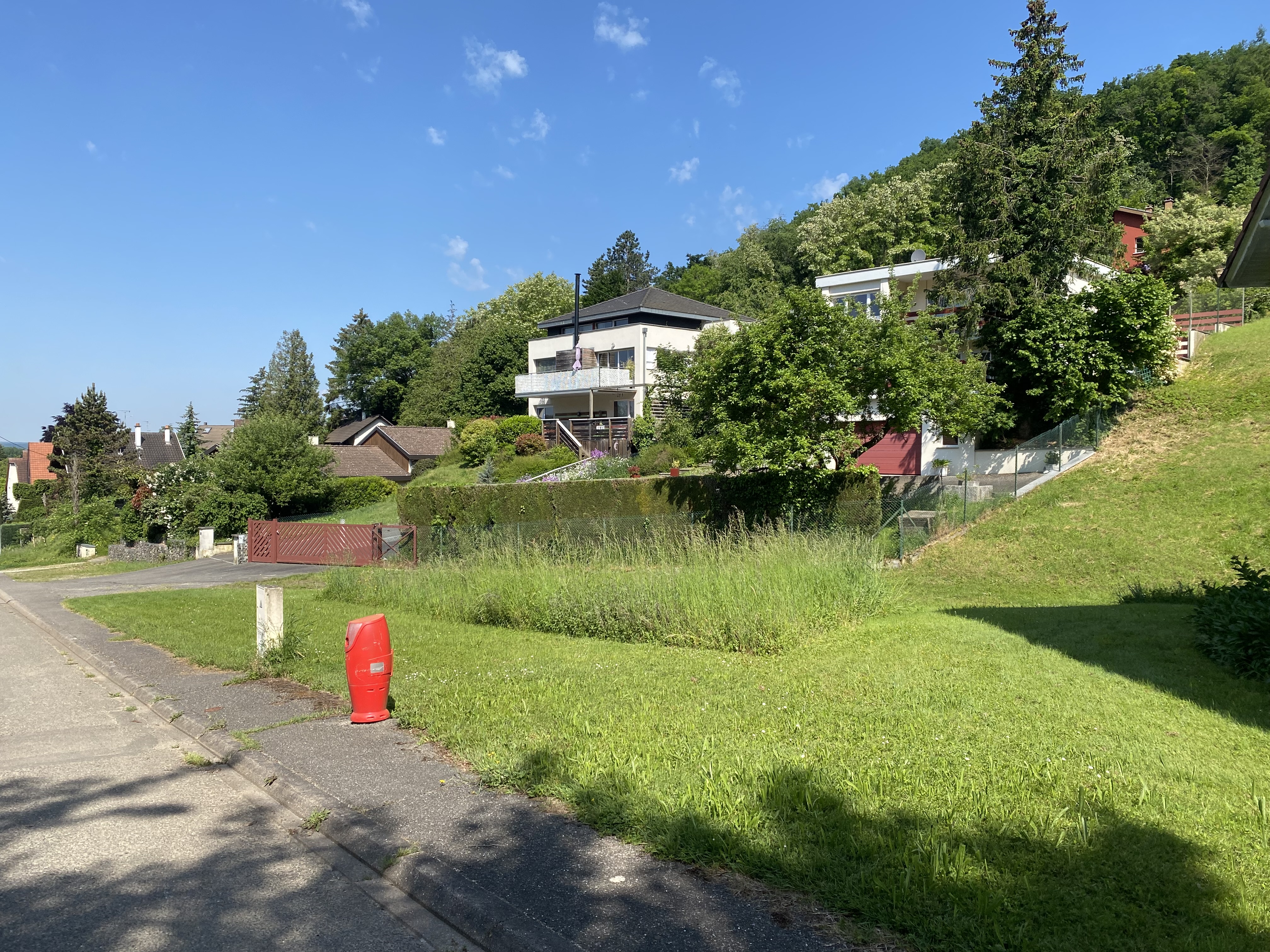 Paysage alsacien autour du gîte